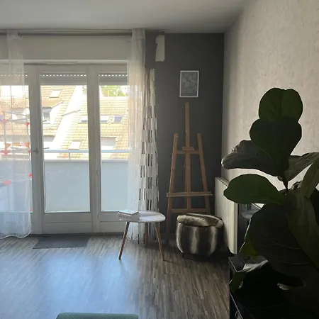 Charmant Appartement Lumineux Proche Du Centre Ville Strasbourg Exterior photo